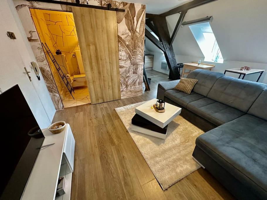 Logement Entier Au Coeur De Strasbourg Eksteriør billede